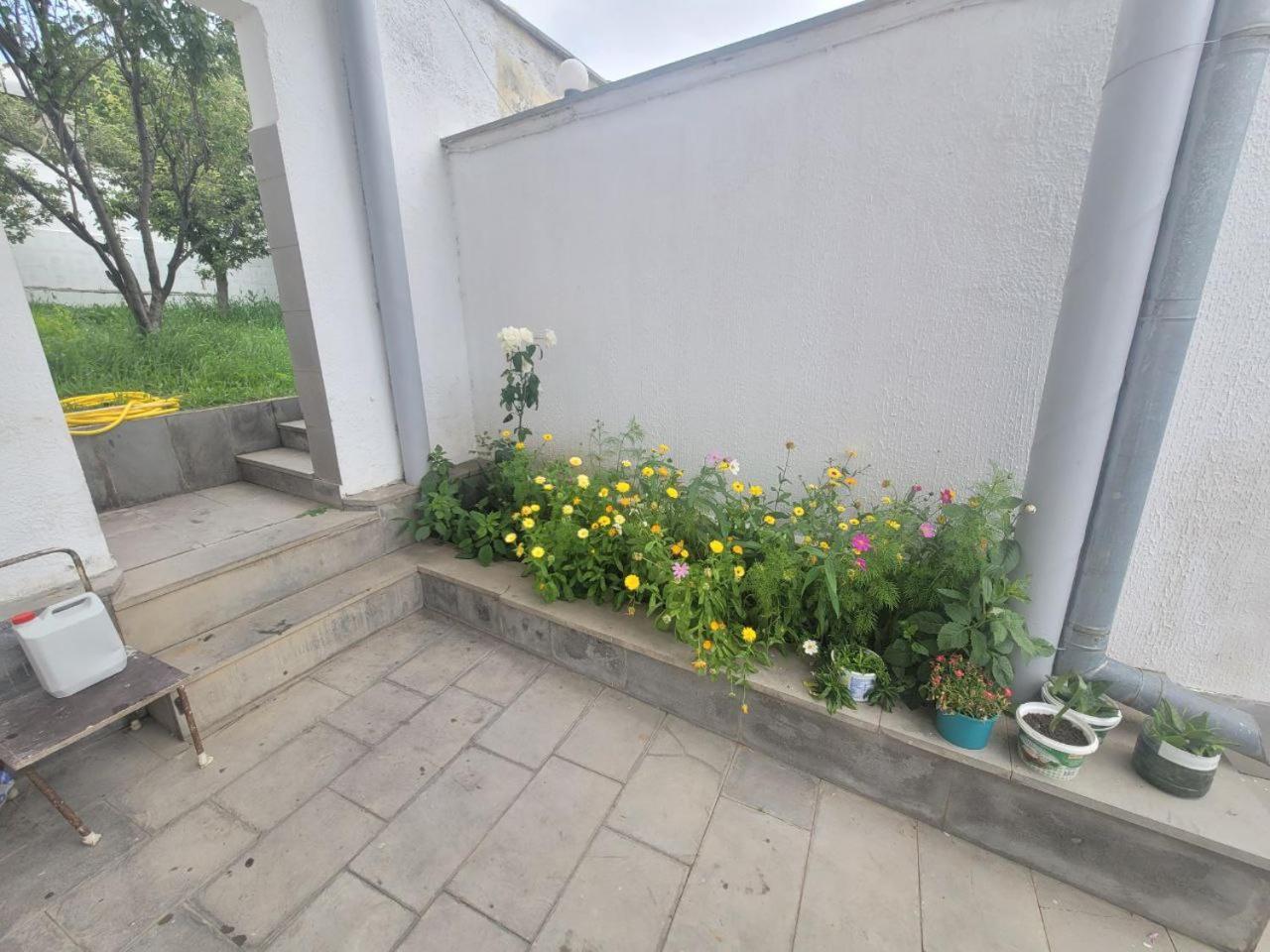 Tsaghkadzor Inn Guest House מראה חיצוני תמונה